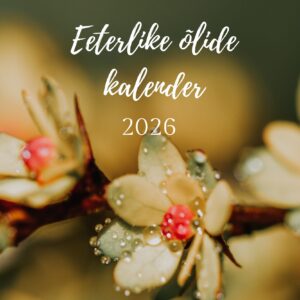 kalender 2026